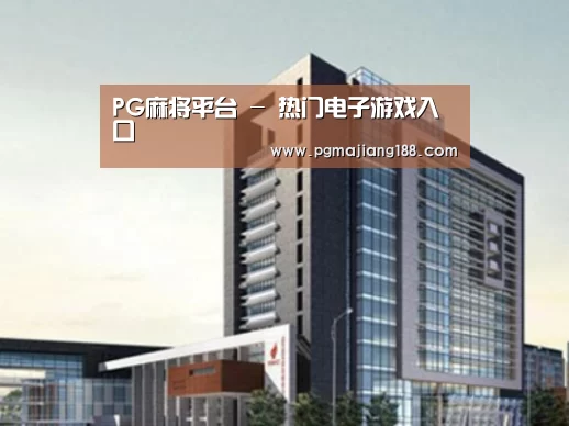 PG麻将平台案例展示四