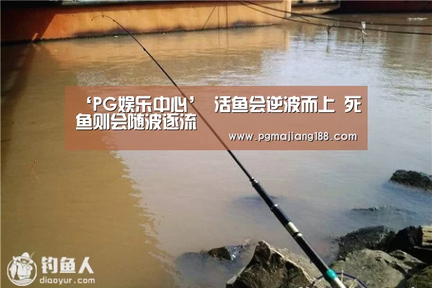 PG官方入口