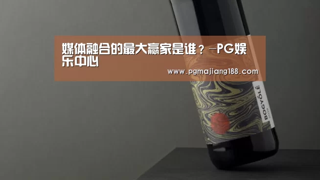 媒体融合的最大赢家是谁?-PG娱乐中心(图3) PG麻将游戏大厅