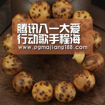 腾讯八一大爱行动歌手程海星爱心慰问老军人“PG娱乐中心”(图3) PG麻将游戏大厅
