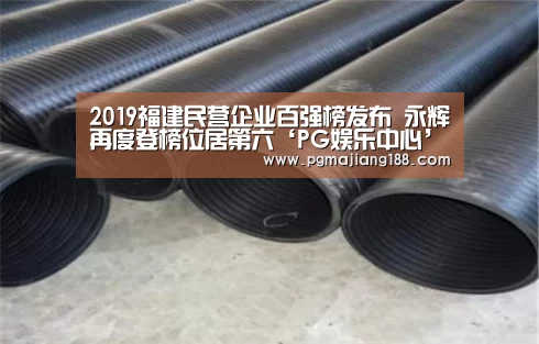 2019福建民营企业百强榜发布 永辉再度登榜位居第六‘PG娱乐中心’(图2) PG官方入口