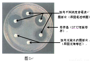 “PG麻将平台”全国十大考古发现文物被“磕伤”?山西博物院回应(图2) PG娱乐中心