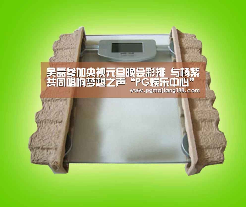 吴磊参加央视元旦晚会彩排 与杨紫共同唱响梦想之声“PG娱乐中心”(图1) PG麻将游戏大厅