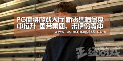 PG麻将平台