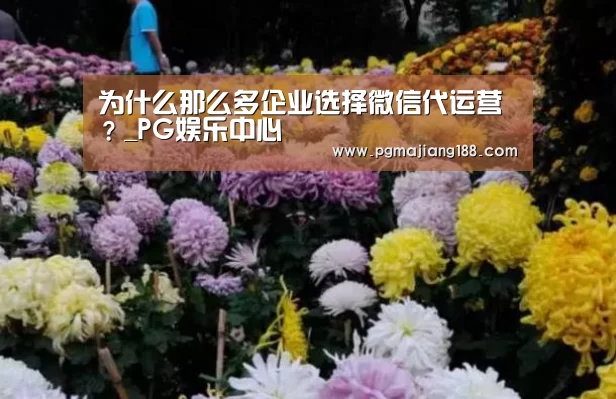 PG麻将游戏大厅